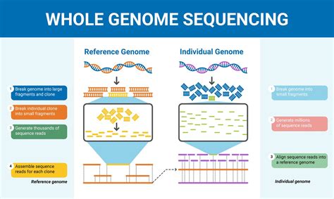 Written communication of whole genome sequencing results in 